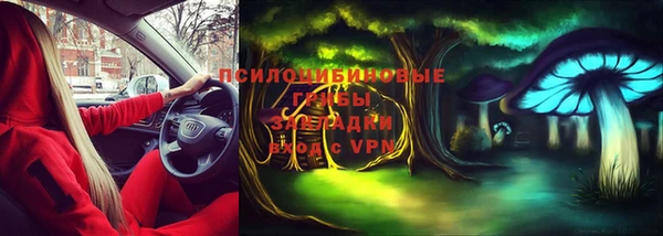 соль ск Абаза