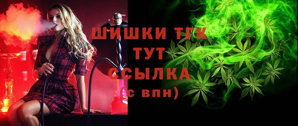 соль ск Абаза