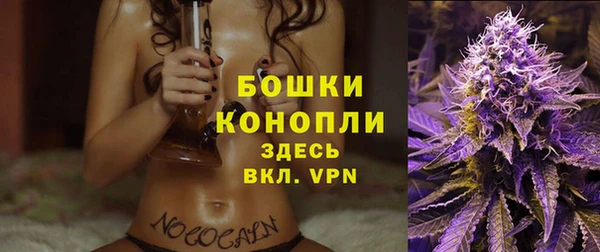 соль ск Абаза